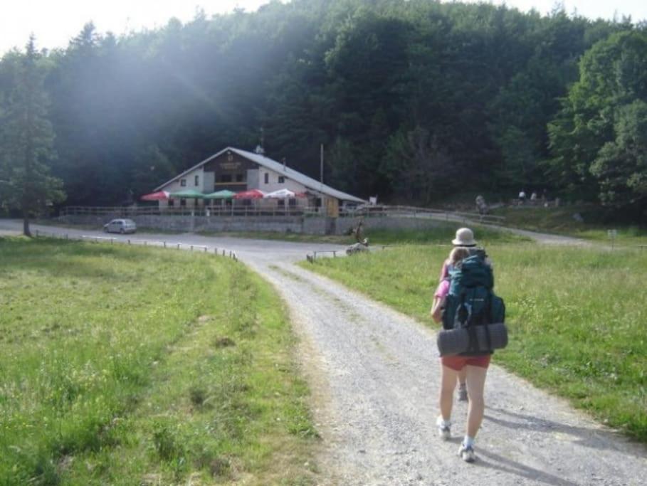 Cozy Rooms In Nature, Perfect For Relax Ilirska Bistrica Kültér fotó